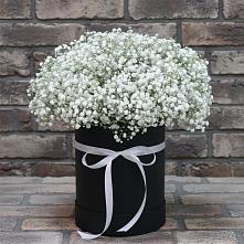 Цветочная композиция из Гипсофила в шляпной коробке в Дубовом