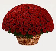 Премиум букет из: Розы в Дубовом